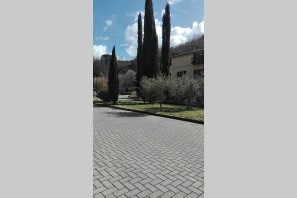 Casazappa - In Centro A Piedi, Parcheggio E Giardino Privato Leilighet Siena Eksteriør bilde
